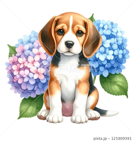 アジサイの花とビーグルの子犬のイラスト5/チラシやポスター用素材 アジサイの花とビーグルの子犬のイラスト5/チラシやポスター用素材 125809391