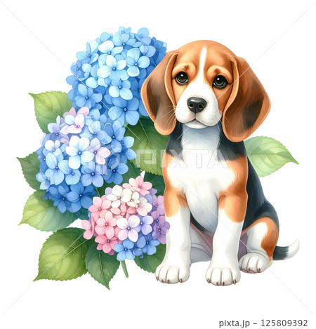 アジサイの花とビーグルの子犬のイラスト6／チラシやポスター用素材 125809392