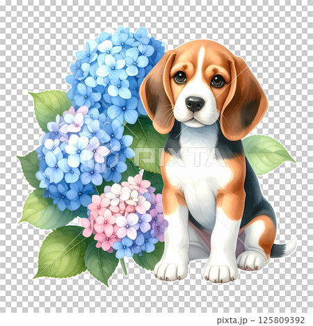 アジサイの花とビーグルの子犬のイラスト6／チラシやポスター用素材 125809392