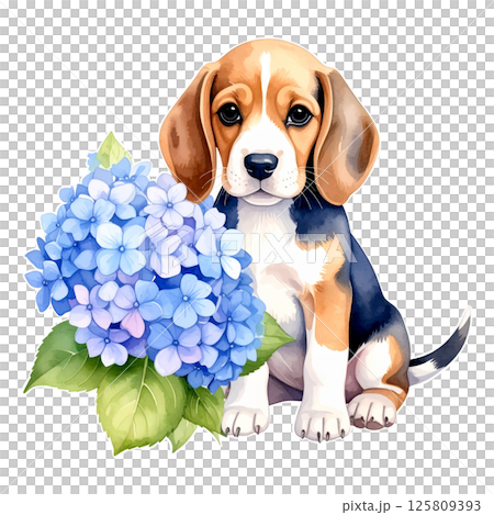 繡球花和小獵犬小狗的插圖7 / 傳單和海報材料 125809393