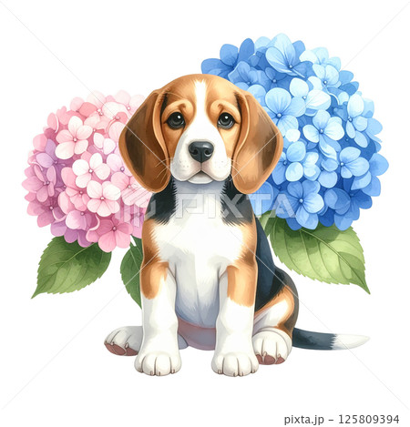 アジサイの花とビーグルの子犬のイラスト8／チラシやポスター用素材 125809394