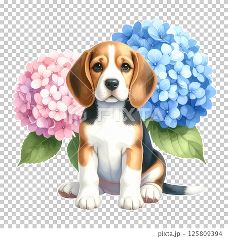 繡球花和小獵犬小狗的插圖8/傳單和海報材料 125809394