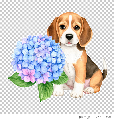 繡球花和小獵犬幼犬的插圖10/傳單和海報材料 125809396