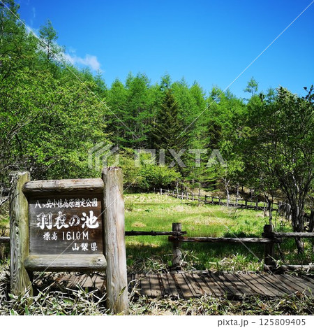 美し森山 登山 初夏 美し森山 登山 初夏 125809405