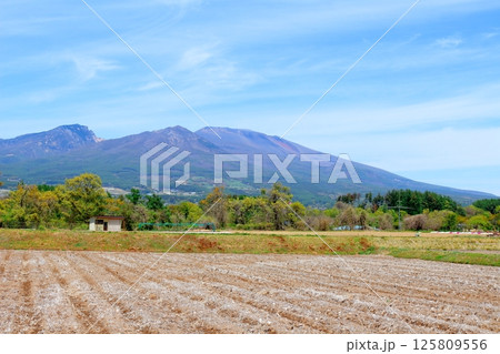 5月の浅間山と高原野菜畑 信州の山々 信州の自然 信州の風景 5月の浅間山と高原野菜畑 信州の山々 信州の自然 信州の風景 125809556