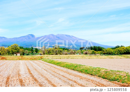 5月の浅間山と高原野菜畑 信州の山々 信州の自然 信州の風景 5月の浅間山と高原野菜畑 信州の山々 信州の自然 信州の風景 125809558