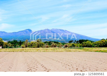 5月の浅間山と高原野菜畑　　　信州の山々　　　信州の自然　　　信州の風景 125809561