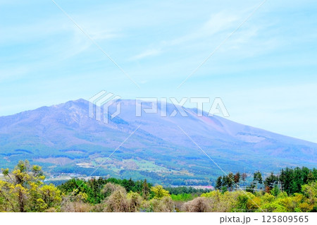 5月の浅間山と高原野菜畑　　　信州の山々　　　信州の自然　　　信州の風景 125809565