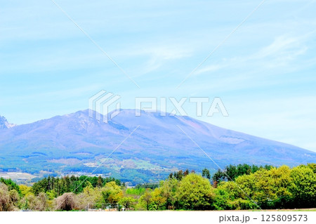 5月の浅間山と高原野菜畑　　　信州の山々　　　信州の自然　　　信州の風景 125809573