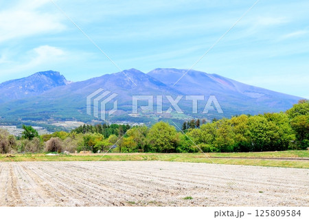 5月の浅間山と高原野菜畑　　　信州の山々　　　信州の自然　　　信州の風景 125809584