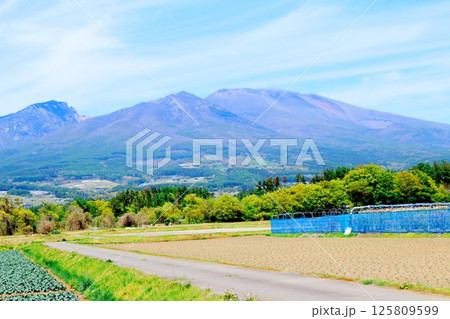5月の浅間山と高原野菜畑 信州の山々 信州の自然 信州の風景 5月の浅間山と高原野菜畑 信州の山々 信州の自然 信州の風景 125809599