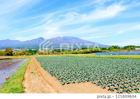 5月の浅間山と高原野菜畑 信州の山々 信州の自然 信州の風景 5月の浅間山と高原野菜畑 信州の山々 信州の自然 信州の風景 125809604