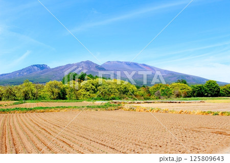 5月の浅間山と高原野菜畑 信州の山々 信州の自然 信州の風景 5月の浅間山と高原野菜畑 信州の山々 信州の自然 信州の風景 125809643