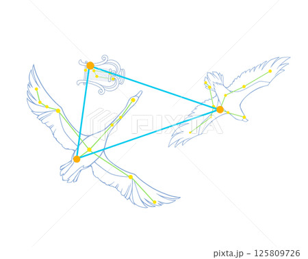 夏の大三角のカラー線画イラスト（白鳥・鷲・竪琴の絵あり） 125809726