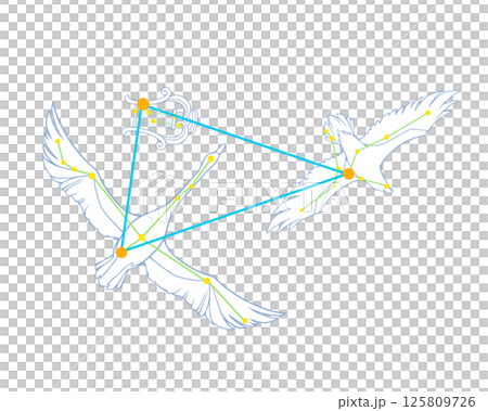 夏の大三角のカラー線画イラスト（白鳥・鷲・竪琴の絵あり） 125809726