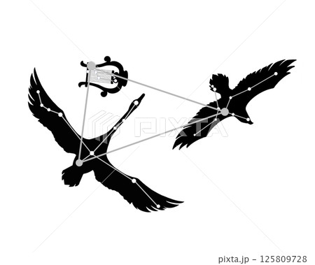 夏の大三角のモノクロシルエットイラスト(白鳥・鷲・竪琴の絵あり) 夏の大三角のモノクロシルエットイラスト(白鳥・鷲・竪琴の絵あり) 125809728
