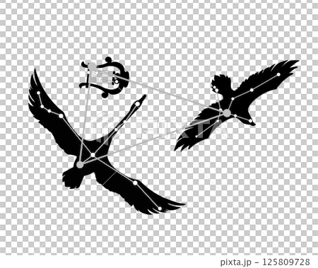 夏の大三角のモノクロシルエットイラスト(白鳥・鷲・竪琴の絵あり) 夏の大三角のモノクロシルエットイラスト(白鳥・鷲・竪琴の絵あり) 125809728