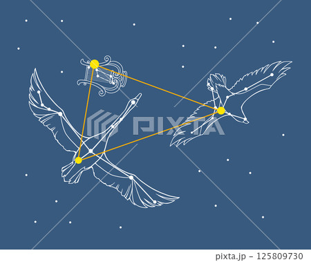 夜空を背景に浮かぶ夏の大三角のイラスト(白鳥・鷲・竪琴の絵あり) 夜空を背景に浮かぶ夏の大三角のイラスト(白鳥・鷲・竪琴の絵あり) 125809730