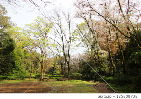 芹ヶ谷公園 芹ヶ谷公園 125809738