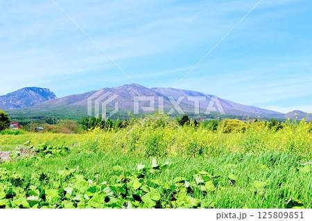 5月の浅間山と高原野菜畑　　　信州の山々　　　信州の自然　　　信州の風景 125809851