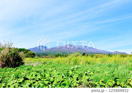 5月の浅間山と高原野菜畑 信州の山々 信州の自然 信州の風景 5月の浅間山と高原野菜畑 信州の山々 信州の自然 信州の風景 125809852