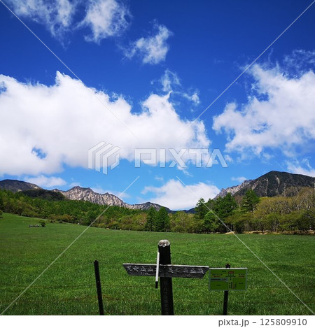美し森山　登山　初夏 125809910