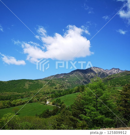 美し森山　登山　初夏 125809912