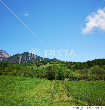 美し森山 登山 初夏 美し森山 登山 初夏 125809914