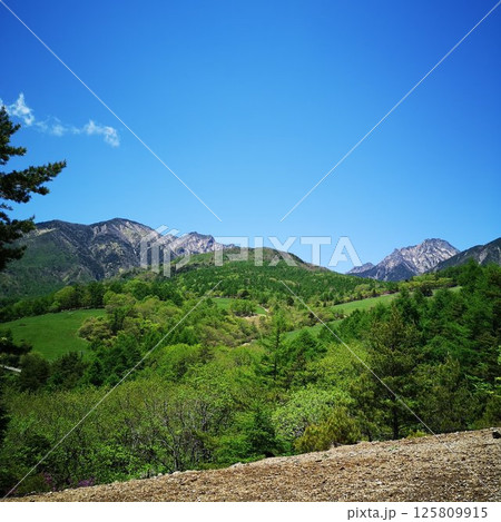 美し森山 登山 初夏 美し森山 登山 初夏 125809915