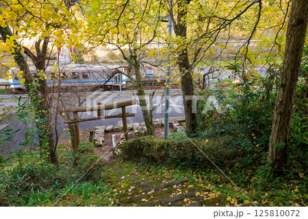 黄葉の菅津彦神社から作木口駅に停車する三江線を撮る 黄葉の菅津彦神社から作木口駅に停車する三江線を撮る 125810072