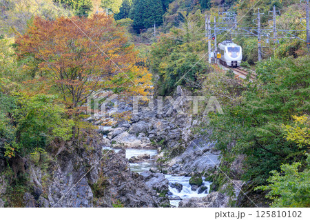 紅葉の川代渓谷を福知山線の特急列車が駆け抜ける 125810102