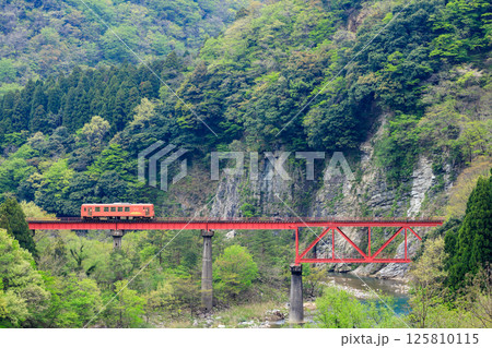 第2九頭竜川橋梁を渡る越美北線の単行気動車 125810115