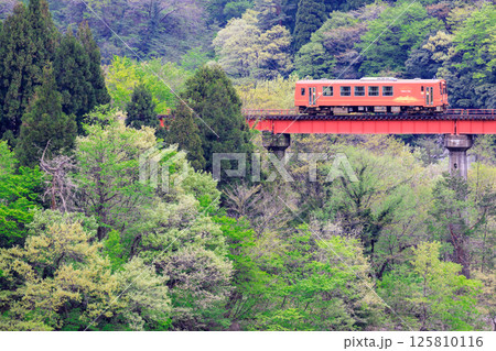 第2九頭竜川橋梁を渡る越美北線の単行気動車 第2九頭竜川橋梁を渡る越美北線の単行気動車 125810116