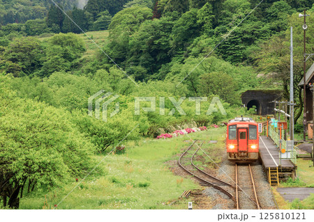 勝原花桃の里に停車する越美北線の単行気動車 125810121