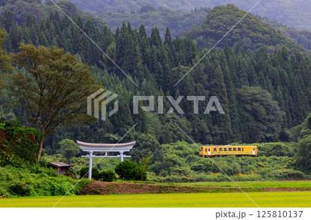 八幡神社の鳥居と秋田内陸線の黄色い気動車 125810137
