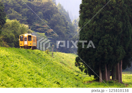 早朝の戸沢築堤を走る黄色い秋田内陸線 125810138