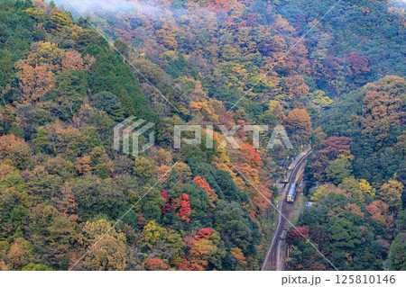 朝霧の残る紅葉の秘境駅・坪尻を遠望する 朝霧の残る紅葉の秘境駅・坪尻を遠望する 125810146