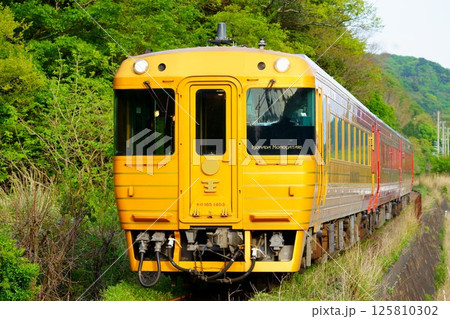 愛媛の観光列車 伊予灘ものがたり 愛媛の観光列車 伊予灘ものがたり 125810302