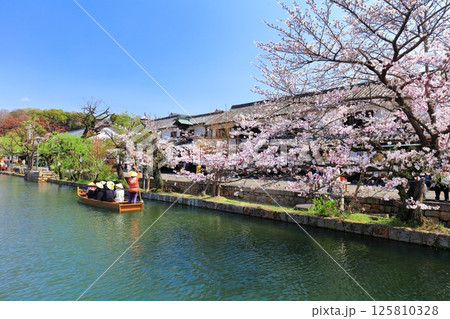 【岡山県】桜が満開の倉敷美観地区(舟流し) 【岡山県】桜が満開の倉敷美観地区(舟流し) 125810328