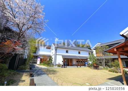 【岡山県】快晴のみんげい広場(倉敷美観地区) 【岡山県】快晴のみんげい広場(倉敷美観地区) 125810356