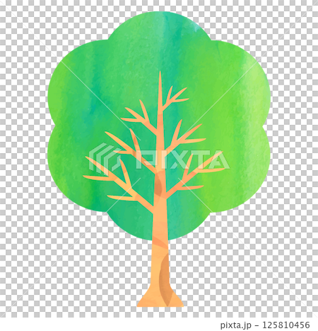 Cute watercolor tree illustration 125810456