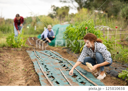 Woman is planting seeds in plastic bed Woman is planting seeds in plastic bed 125810638
