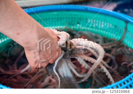 Korean seafood ingredient. Live octopus. 125810868