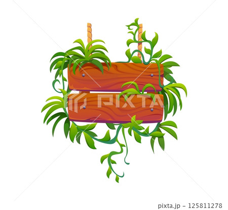 Wooden sign board in tropical jungle liana leaves or green plants, vector signboard. Cartoon wooden sign plate of wood planks with tropical rainforest palm and monstera leaves or liana ivy branches Wooden sign board in tropical jungle liana leaves or green plants, vector signboard. Cartoon wooden sign plate of wood planks with tropical rainforest palm and monstera leaves or liana ivy branches 125811278