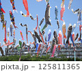 青空を泳ぐ芥川桜堤公園の鯉のぼり(大阪府高槻市で2025年4月撮影) 125811365
