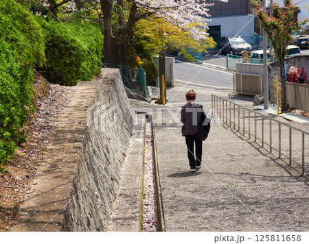 桜満開のお寺の参道で歩く一人のシニア女性の姿 桜満開のお寺の参道で歩く一人のシニア女性の姿 125811658