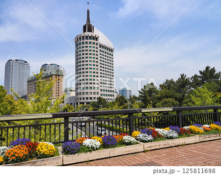 海浜幕張の風景(千葉市美浜区) 海浜幕張の風景(千葉市美浜区) 125811698