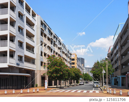 バレンタイン通り(千葉市美浜区) バレンタイン通り(千葉市美浜区) 125811706