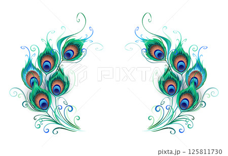 Green peacock feathers composition 125811730