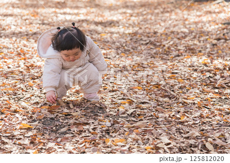【落ち葉で敷き詰められた冬の公園で遊ぶ1歳児 座る】 【落ち葉で敷き詰められた冬の公園で遊ぶ1歳児 座る】 125812020